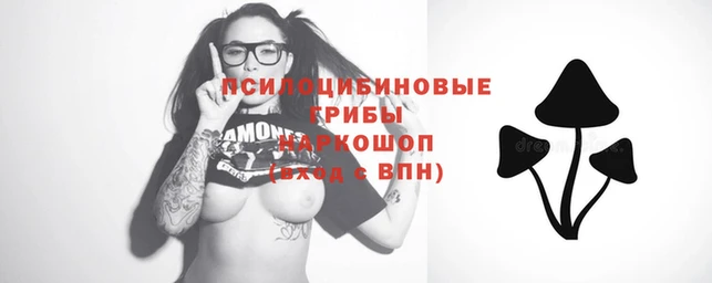 apvp Краснотурьинск