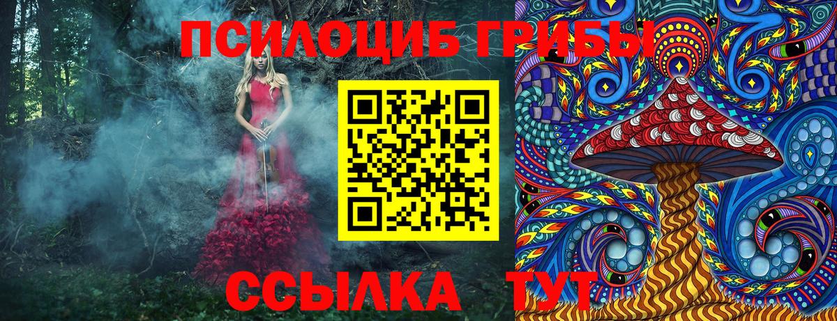 Псилоцибиновые грибы Cubensis Сосновый Бор
