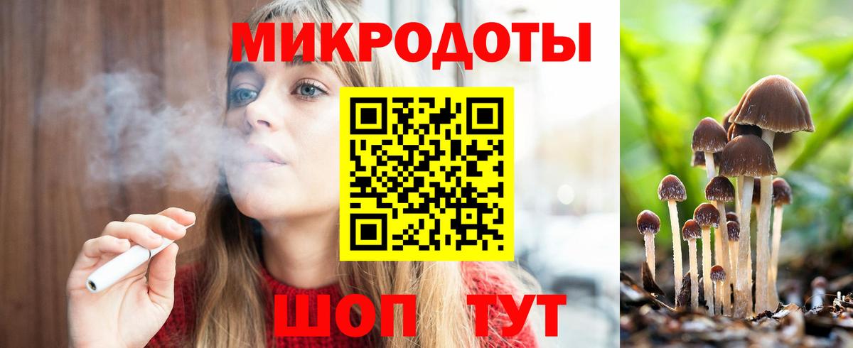 Псилоцибиновые грибы MAGIC MUSHROOMS  как найти   Сосновый Бор 