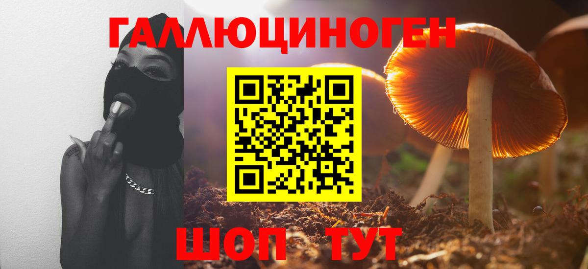 наркота  Вход с VPN  Сосновый Бор  Псилоцибиновые грибы мухоморы 