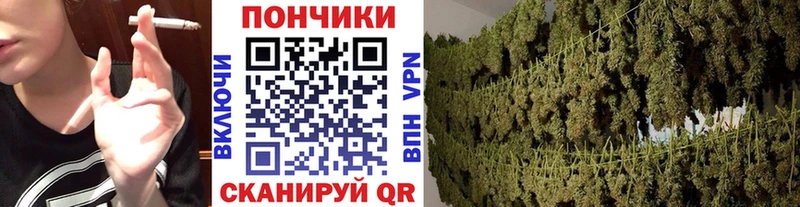 Конопля Amnesia  Сосновый Бор 